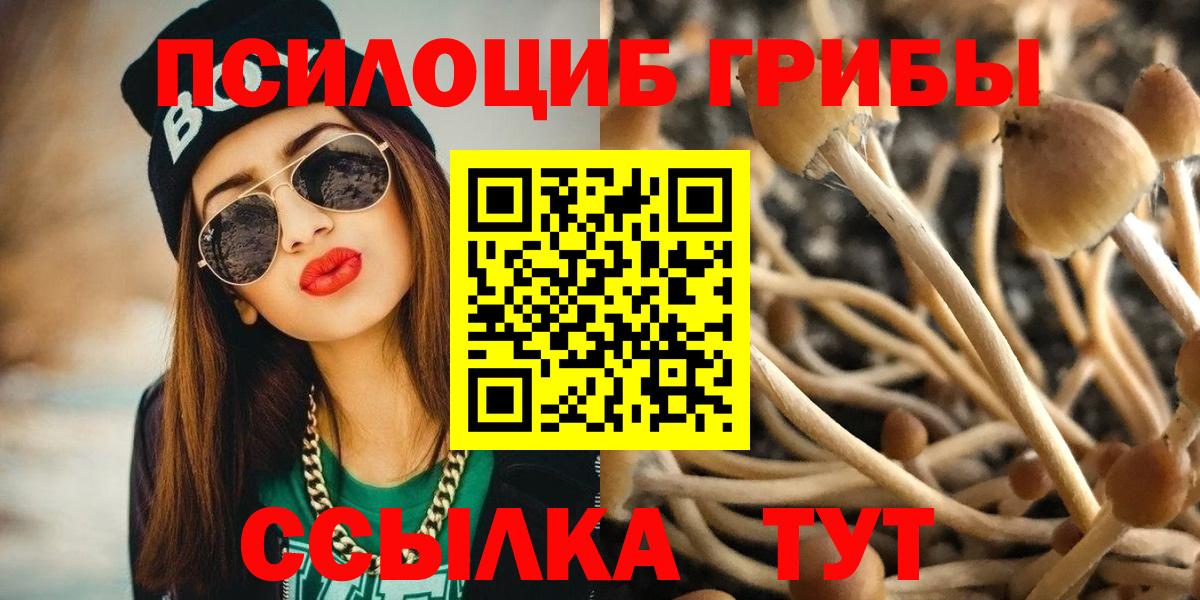 Псилоцибиновые грибы Psilocybe  Вход с VPN  Курчалой  Галлюциногенные грибы MAGIC MUSHROOMS 