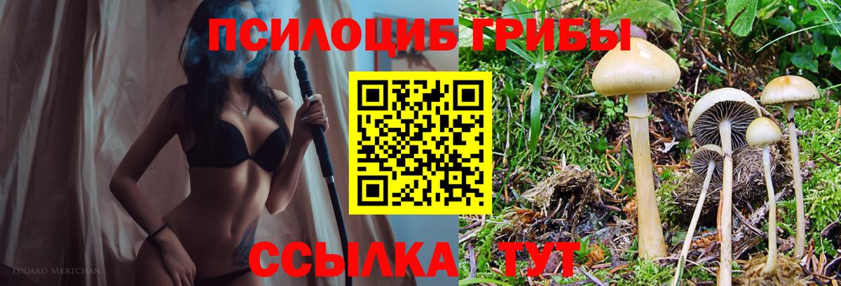 Галлюциногенные грибы Magic Shrooms Курчалой